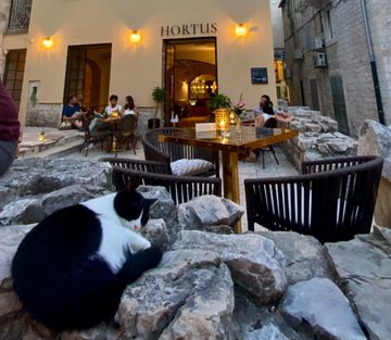 Restaurant in the old town no. 1